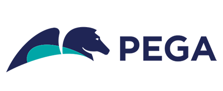 Pega BPM